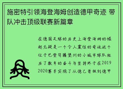 施密特引领海登海姆创造德甲奇迹 带队冲击顶级联赛新篇章